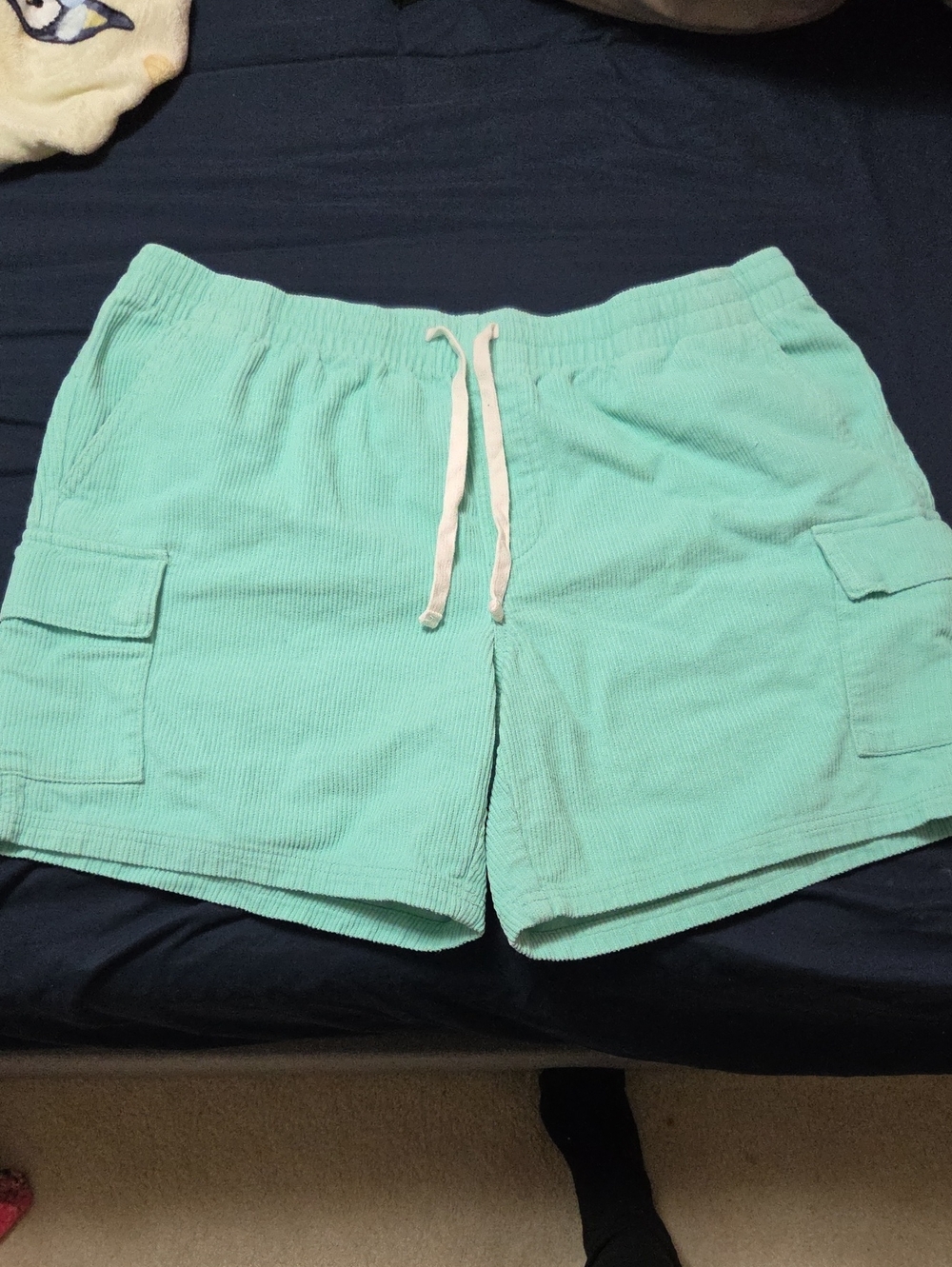 No Boumdaries Mens Mint Green Corduroy Drawstring Shorts